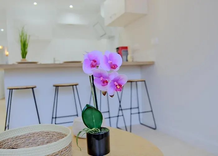 Apartamento La Confidence Périgueux